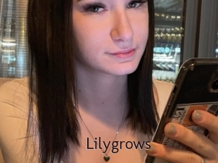 lilygrows Top listen server