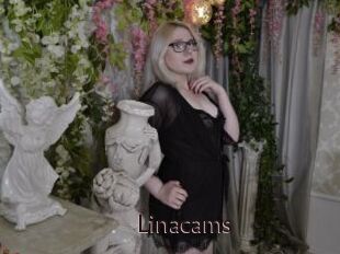 Linacams