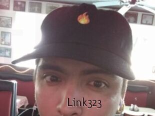 Link323