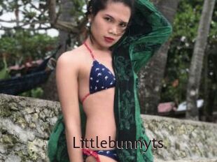 Littlebunnyts