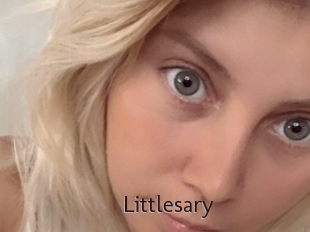 Littlesary