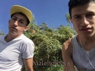 Malehotboys