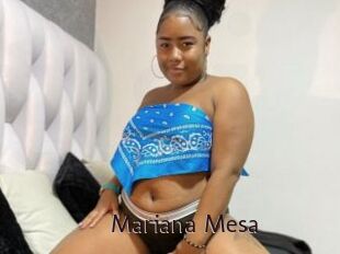 Mariana_Mesa