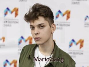 MarioGang