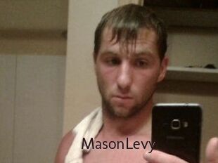 Mason_Levy