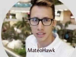 MateoHawk