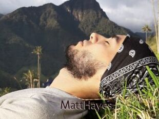 MattHayes