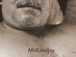 MidlandJay