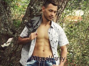 MiguelLarry