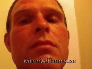 Minniedfknmouse