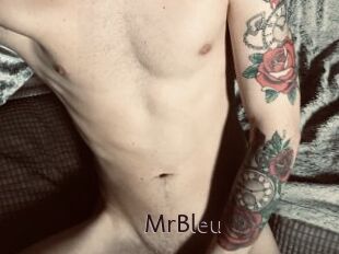 MrBleu