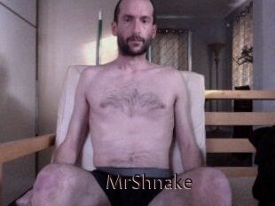 MrShnake