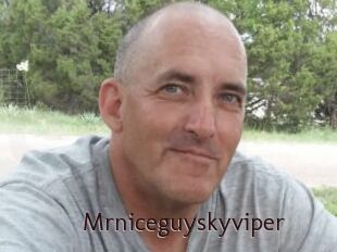 Mrniceguyskyviper