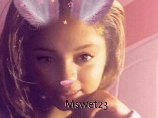Mswet23