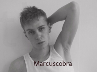 marcuscobra Top listen server