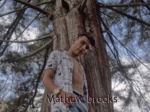 Mathew_brooks
