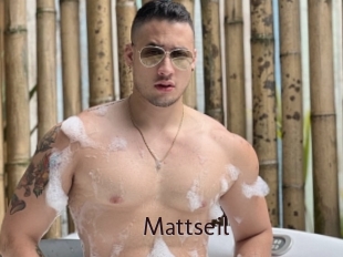 Mattseil