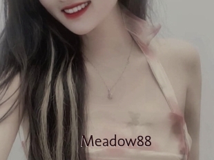 meadow88 Top listen server