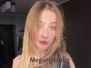 Megangearing