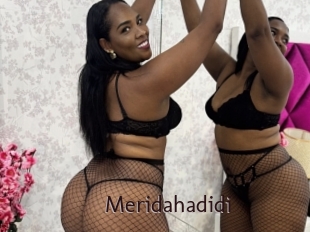 meridahadidi Top listen server