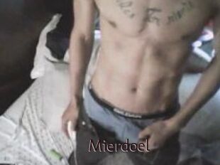 Mierdoel