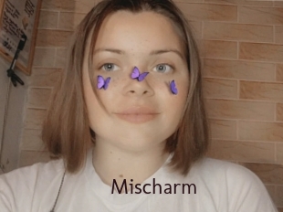 Mischarm