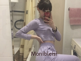 Monibleisi