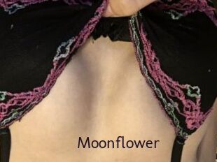 Moonflower