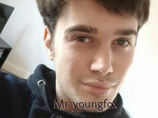 Mr_youngfox