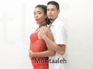 Mulataaleh