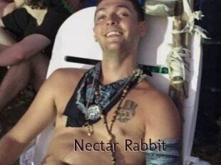 Nectar_Rabbit