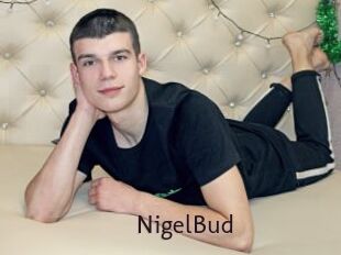 NigelBud