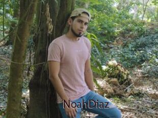 NoahDiaz