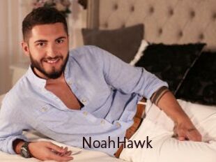 NoahHawk