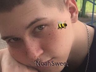 NoahSweet