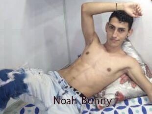 Noah_Bunny