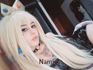 namicat Top listen server