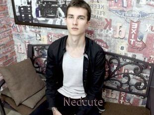 Nedcute