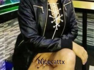 Nicecattx