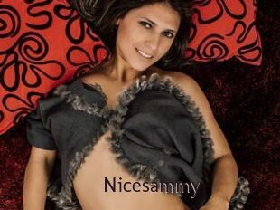 Nicesammy