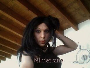 Ninietrans