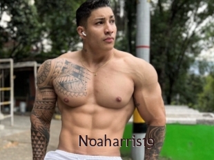 Noaharris19