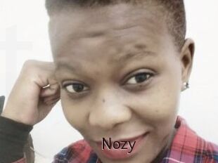 Nozy