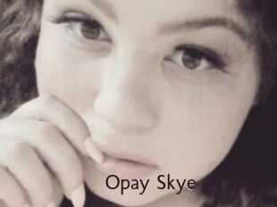 Opay_Skye