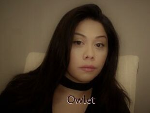 _Owlet_