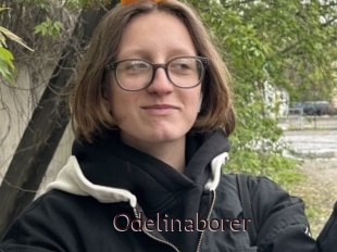 Odelinaborer