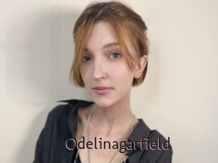 Odelinagarfield