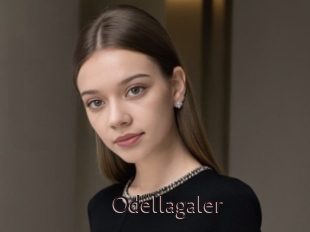 Odellagaler