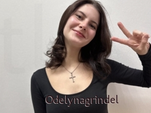 Odelynagrindel