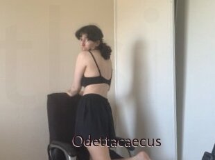 Odettacaecus